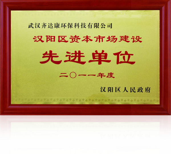 齊達(dá)康-資本市場建設(shè)先進(jìn)單位